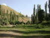 Mohsen Razaghi (4)_resize.JPG